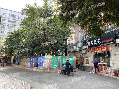 桂庙新村爆料事件始末视频,真相与争议的交织  第1张