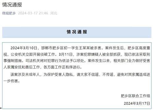 邯郸初中生杀人案最新爆料,惊人真相曝光，校园暴力背后的黑暗面  第2张