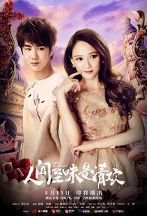 人间至味是清欢电视剧在线观看,探寻清欢人生，品味至味情感