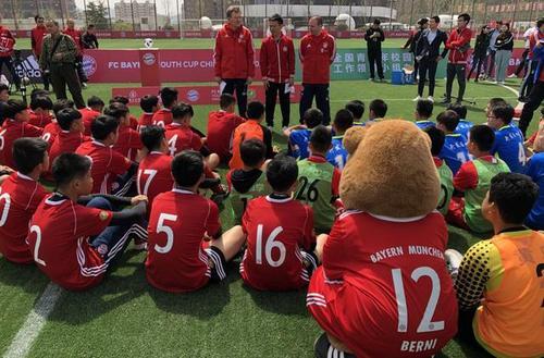 足球爆料计划最新消息,独家揭秘赛事内幕与精彩瞬间  第3张