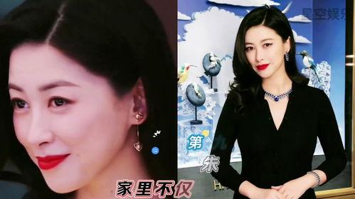 吃瓜系统真假千金娱乐圈  第2张