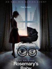 魔鬼圣婴在线观看,在线揭秘神秘家族的黑暗秘密