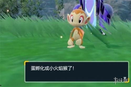 朱紫dlc最新爆料 第2张 朱紫dlc最新爆料 第2张